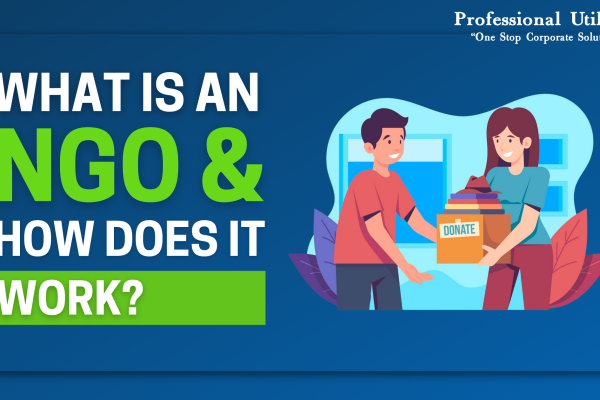 what-is-an-Ngo-how-does-it-work